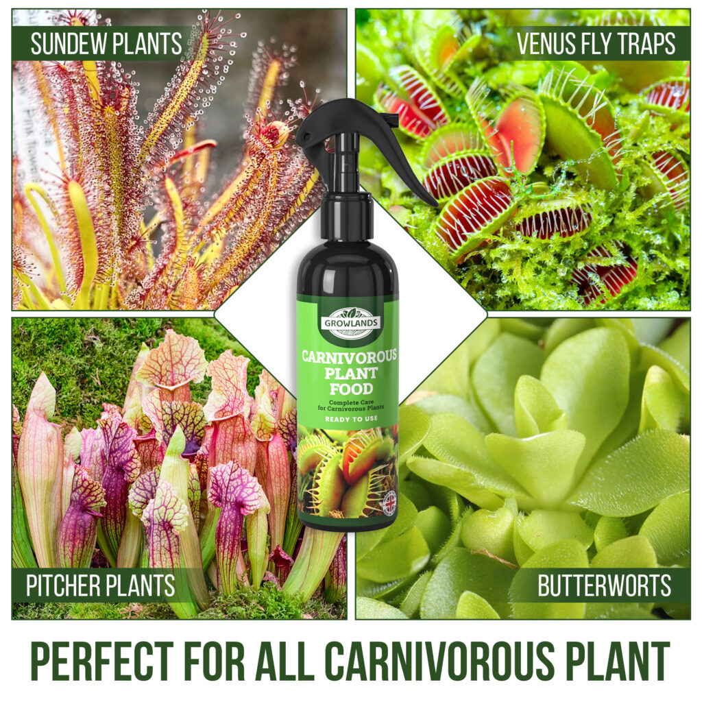 Carnivorous Plant Food (300 ML) | GrowLands - Plant Foods | Plant ...